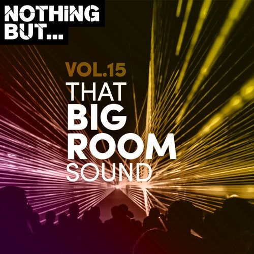VA – Nothing But… That Big Room Sound, Vol. 15 [NBTBRS15]